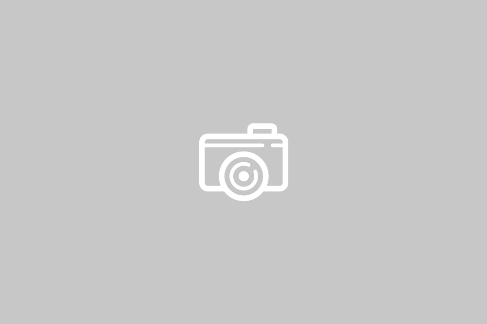 img-segnaposto